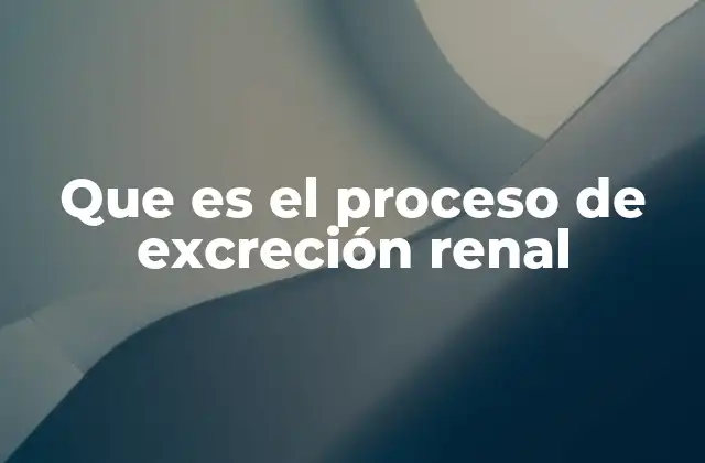 Que es el Proceso de Excreción Renal