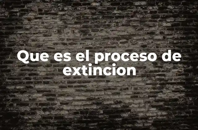Que es el Proceso de Extincion