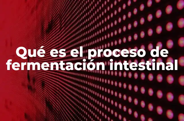 Qué es el Proceso de Fermentación Intestinal