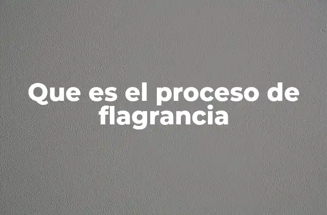 Que es el Proceso de Flagrancia