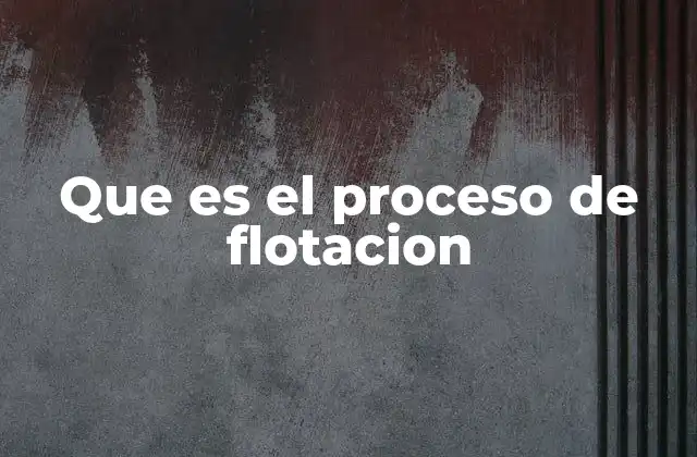 Que es el Proceso de Flotacion