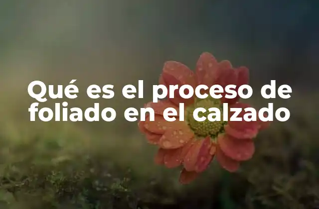 Qué es el Proceso de Foliado en el Calzado