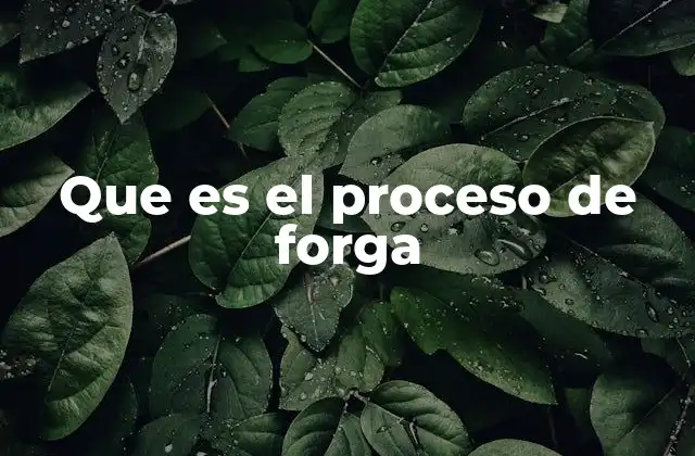 Que es el Proceso de Forga