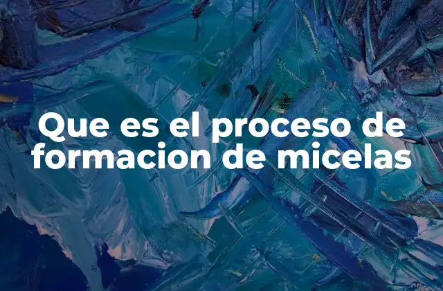 Que es el Proceso de Formacion de Micelas