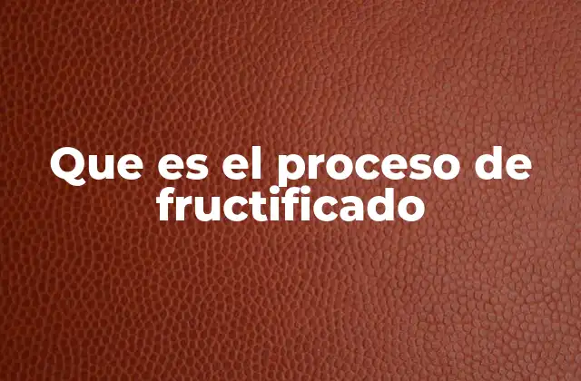 Que es el Proceso de Fructificado