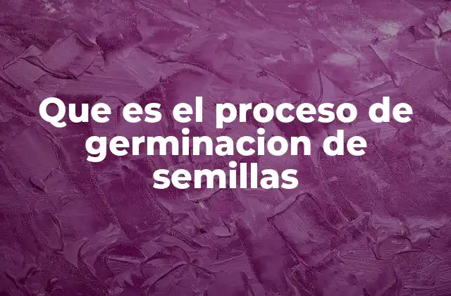 Que es el Proceso de Germinacion de Semillas