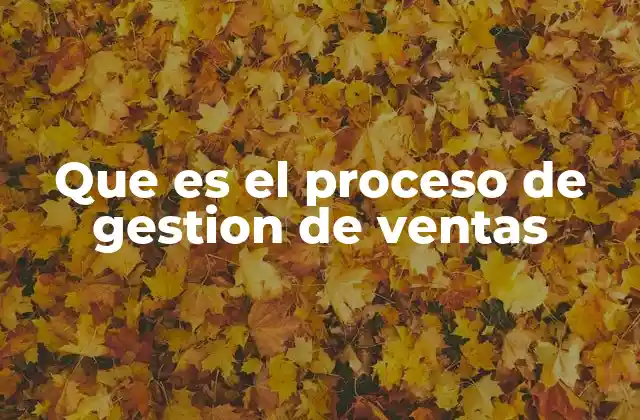 Que es el Proceso de Gestion de Ventas