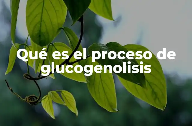 Cómo el cuerpo regula la liberación de glucosa durante la glucogenolisis
