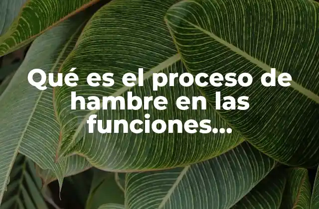 El equilibrio energético y la regulación del apetito