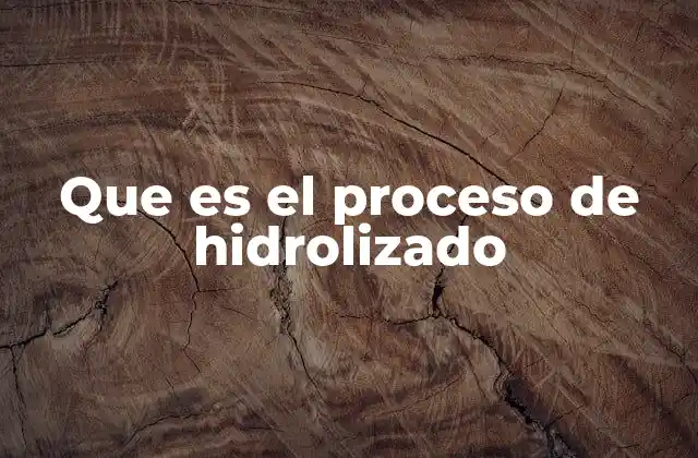 Que es el Proceso de Hidrolizado