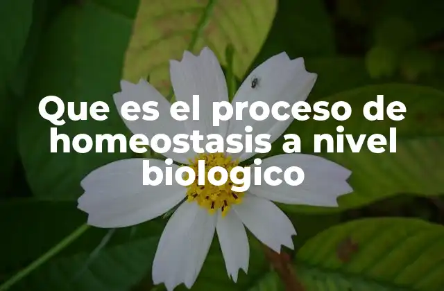 Que es el Proceso de Homeostasis a Nivel Biologico