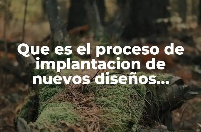 Que es el Proceso de Implantacion de Nuevos Diseños Organizacionales