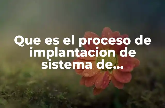 Que es el Proceso de Implantacion de Sistema de Investigacion