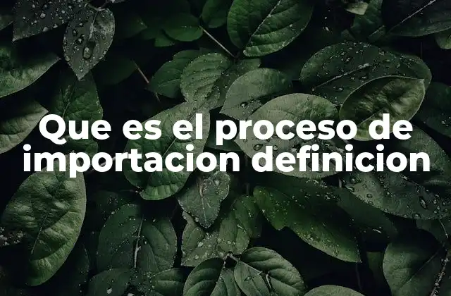 Que es el Proceso de Importacion Definicion 2 El viaje de una mercancía desde el extranjero hasta el mercado local