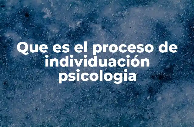 Que es el Proceso de Individuación Psicologia