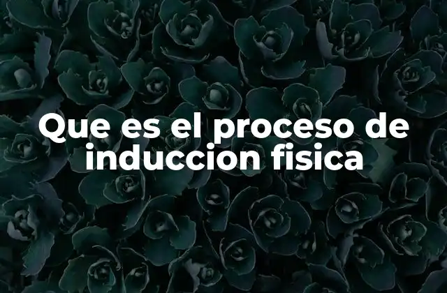 Que es el Proceso de Induccion Fisica