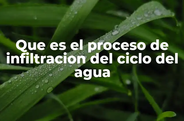 Que es el Proceso de Infiltracion Del Ciclo Del Agua