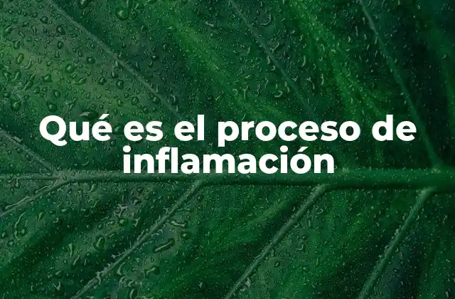 Qué es el Proceso de Inflamación
