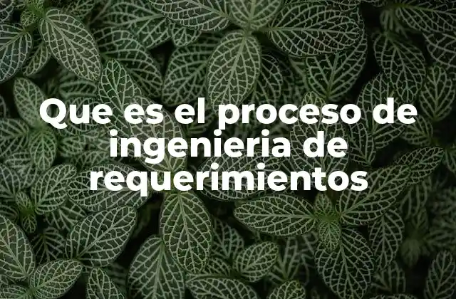 Que es el Proceso de Ingenieria de Requerimientos