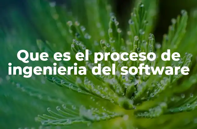 Que es el Proceso de Ingenieria Del Software