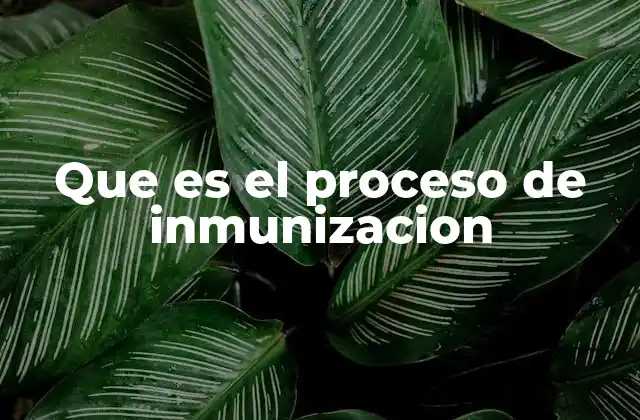 Que es el Proceso de Inmunizacion