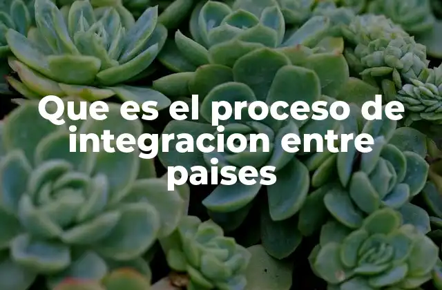 Que es el Proceso de Integracion entre Paises