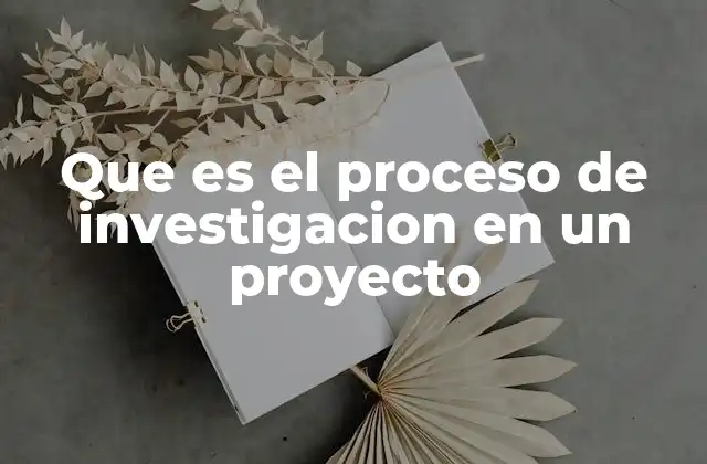 Que es el Proceso de Investigacion en un Proyecto