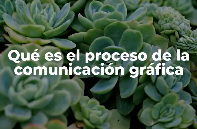 Qué es el Proceso de la Comunicación Gráfica