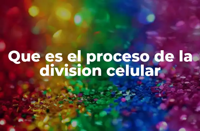Que es el Proceso de la Division Celular