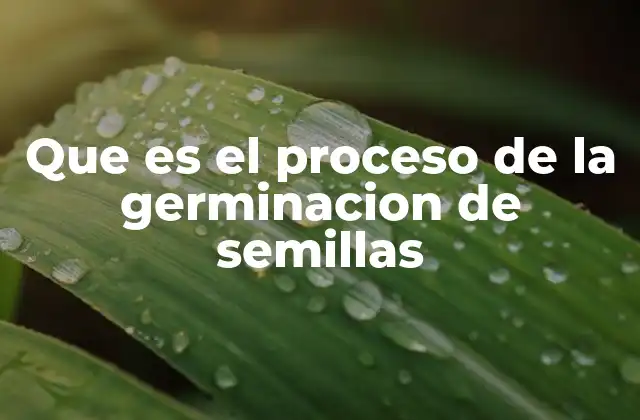 Que es el Proceso de la Germinacion de Semillas