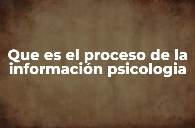 Que es el Proceso de la Información Psicologia