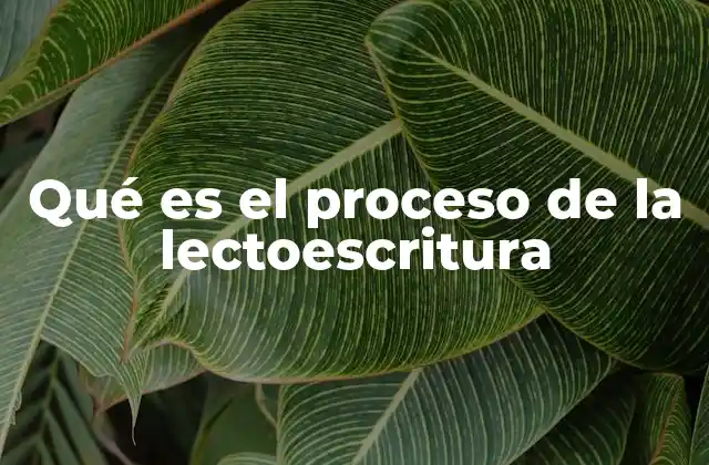 Qué es el Proceso de la Lectoescritura