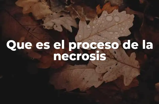 Que es el Proceso de la Necrosis 2 Cómo la necrosis afecta al tejido y al organismo