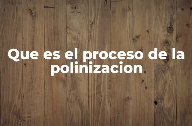Que es el Proceso de la Polinizacion