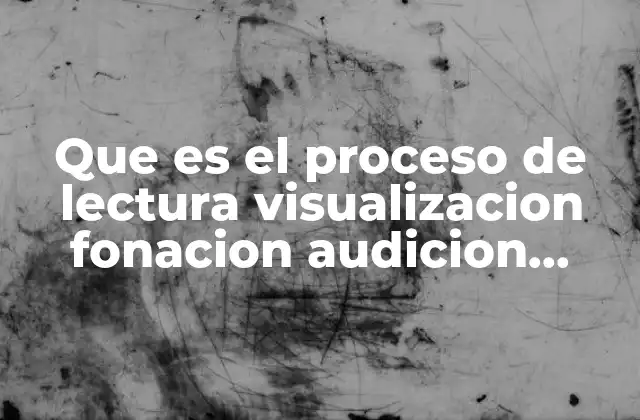 Que es el Proceso de Lectura Visualizacion Fonacion Audicion Cerebracion