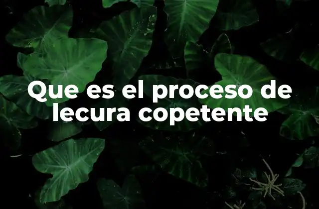 Que es el Proceso de Lecura Copetente