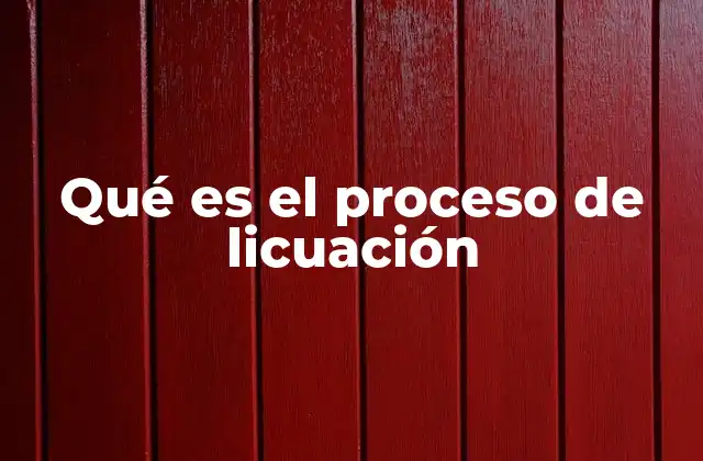 Qué es el Proceso de Licuación