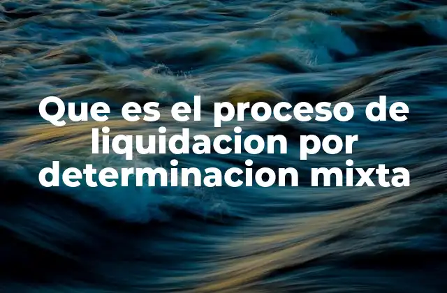 Que es el Proceso de Liquidacion por Determinacion Mixta
