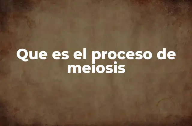 Que es el Proceso de Meiosis