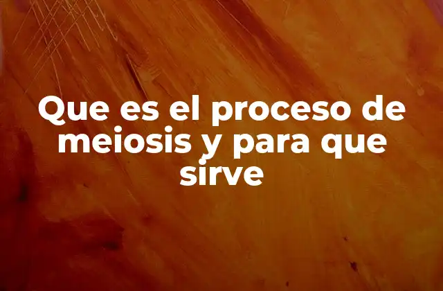 Que es el Proceso de Meiosis y para que Sirve