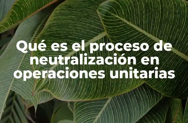Qué es el Proceso de Neutralización en Operaciones Unitarias