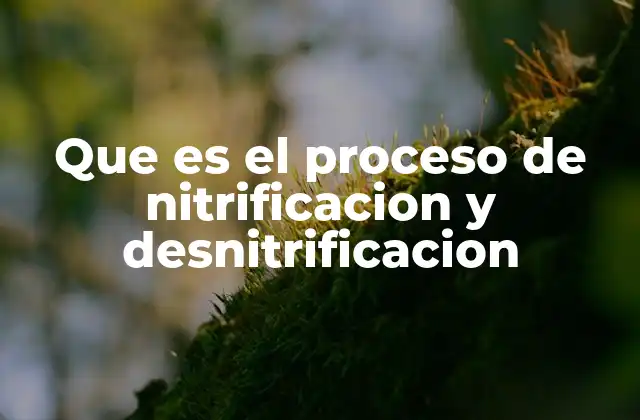 Que es el Proceso de Nitrificacion y Desnitrificacion