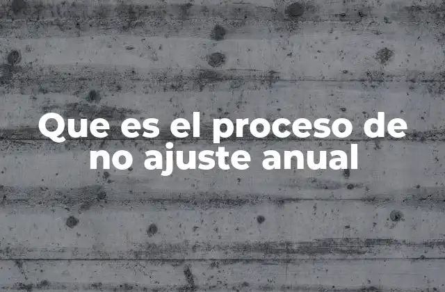Que es el Proceso de No Ajuste Anual