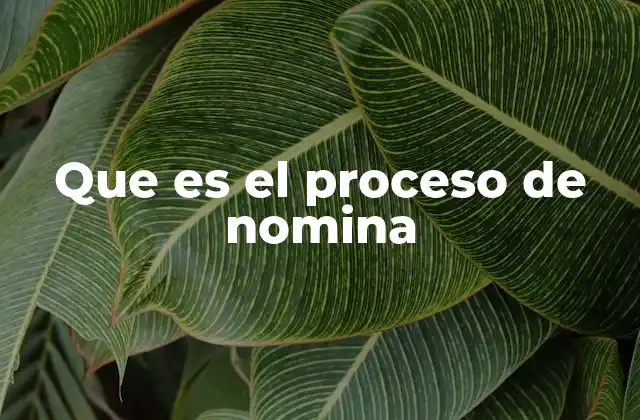 Que es el Proceso de Nomina
