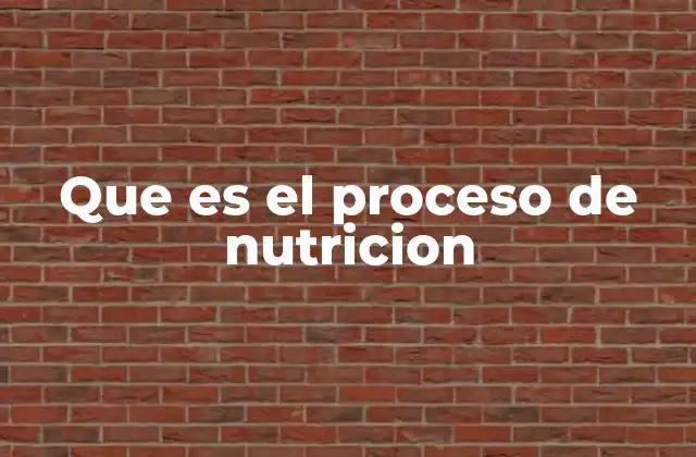 Que es el Proceso de Nutricion 2 El camino de los alimentos desde el plato hasta las células