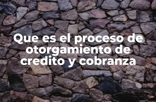 Que es el Proceso de Otorgamiento de Credito y Cobranza