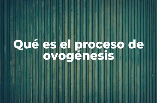 Qué es el Proceso de Ovogénesis