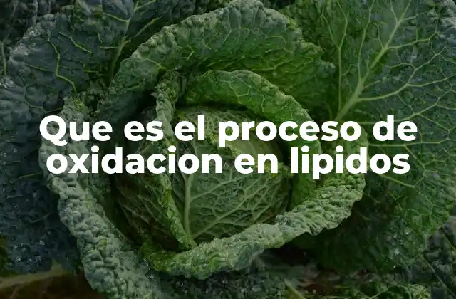 Que es el Proceso de Oxidacion en Lipidos