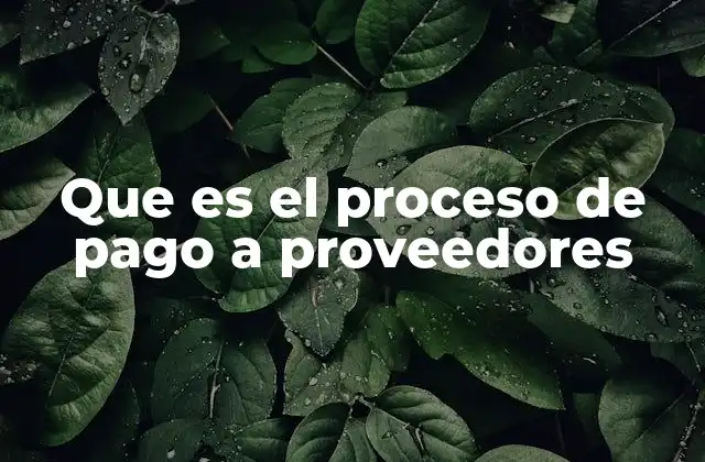 Que es el Proceso de Pago a Proveedores 2 La importancia de una correcta gestión de proveedores