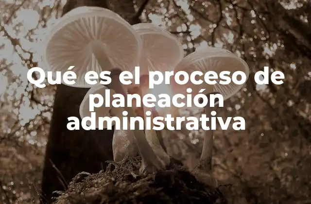 Qué es el Proceso de Planeación Administrativa